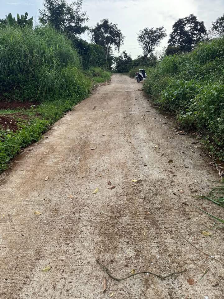 Đất thổ cư Thôn 14, Xã Đắk Wer, 225m² giá 330 triệu - Sổ đỏ chính chủ!