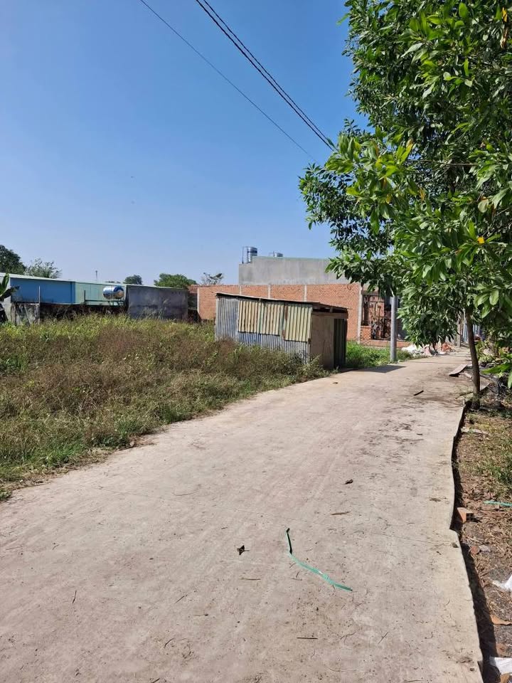 Đất nền bán gấp tại Thanh Phú, Tân Triều - Diện tích 100m² và 86m² - Giá chỉ từ 900 triệu