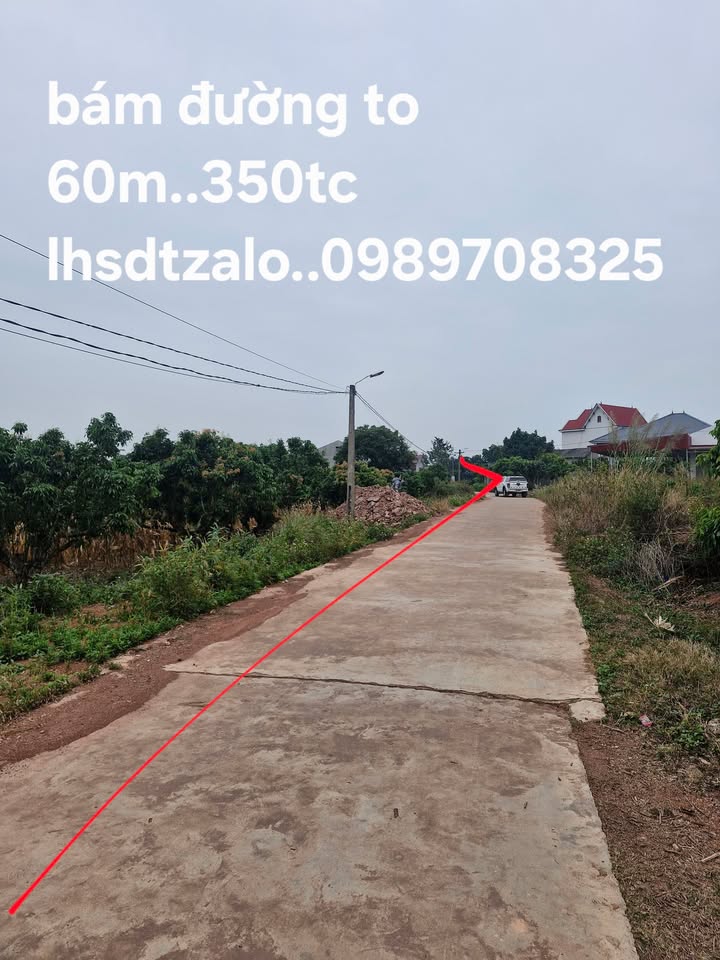 Đất Farm 4700m² tại Xã Phượng Sơn, Huyện Lục Ngạn - Cơ hội đầu tư hấp dẫn!