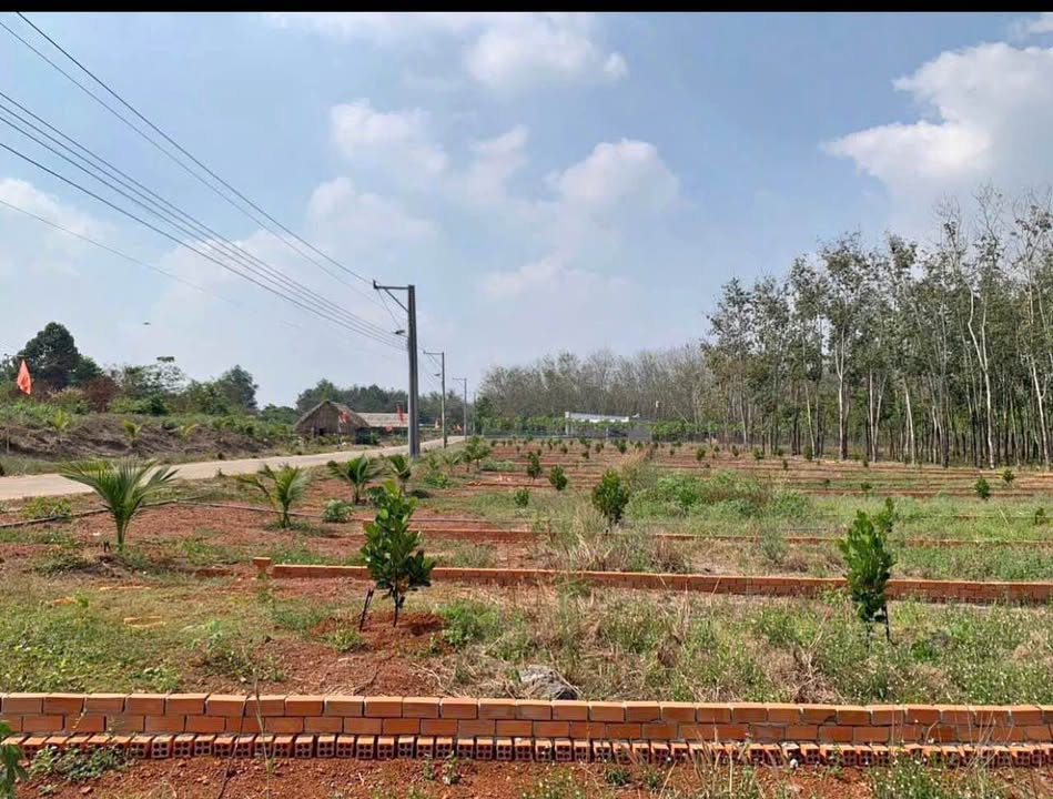 Đất nền Khu Dân Cư Phường Thuận Giao 200m² giá chỉ 120 triệu - Sổ đỏ chính chủ sẵn sàng sang tên!