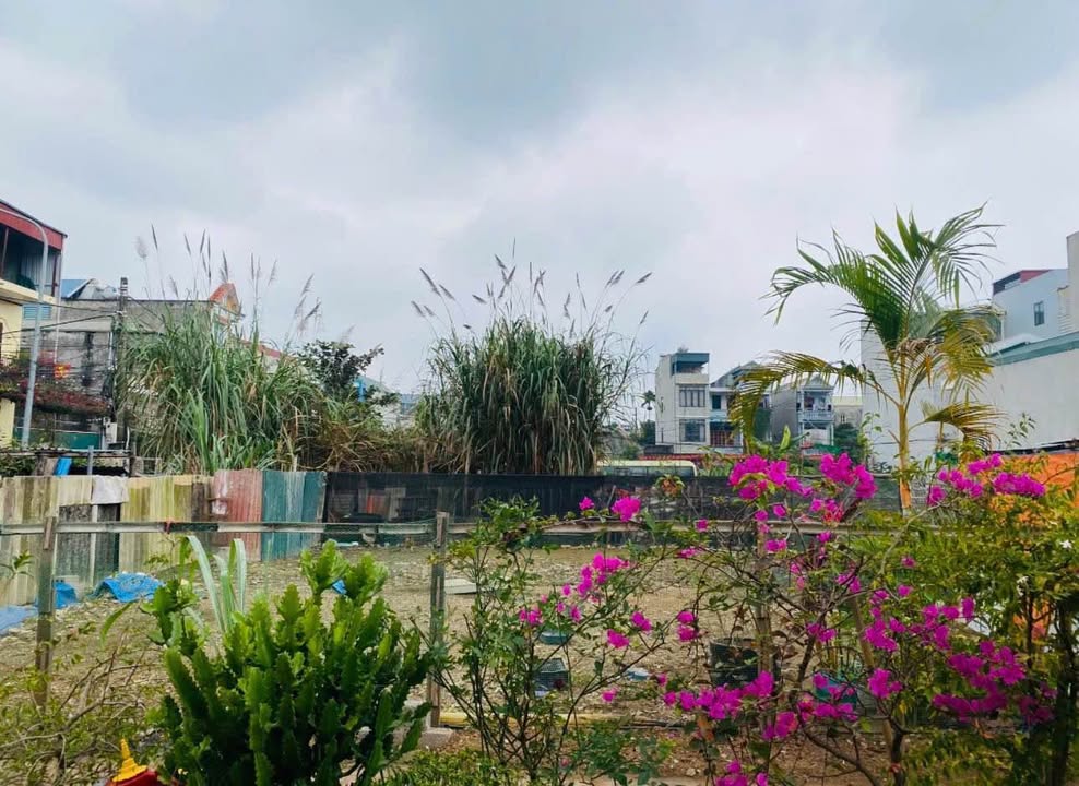 Đất nền Phường Đồng Tiến, Huyện Lương Sơn, 75m² giá 2 tỷ - Đầu tư sinh lời tiềm năng!