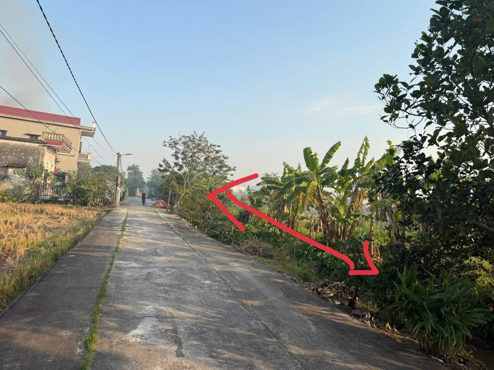 Đất nền Xã Xuân Tân, Huyện Xuân Trường, 216m² giá chỉ 900 triệu - Đầu tư sinh lời ngay!