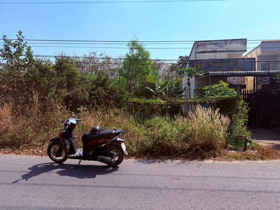 Đất thổ cư Bến Tượng, Thủ Đức 245m² giá 1.6 tỷ - Tiềm năng kinh doanh lớn!