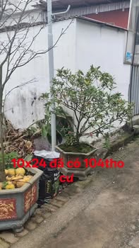 Đất nền 240m² tại Yên Phú, Hưng Yên - Sổ đỏ chính chủ, giá thỏa thuận!