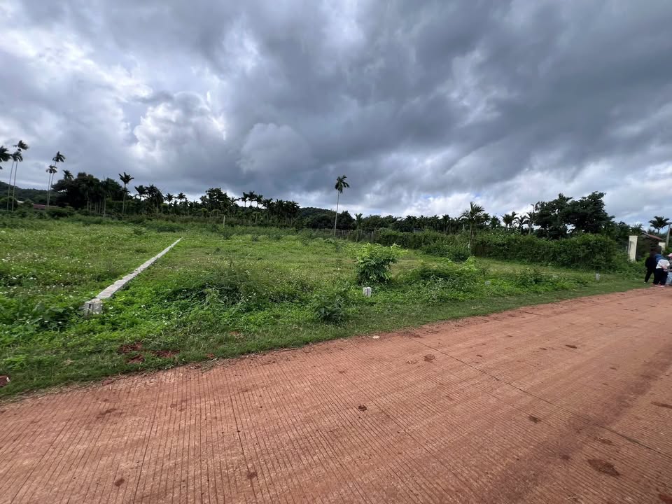 Đất nền 115m² tại Huyện Cư Kuin giá 1.1 tỷ - Cơ hội vàng đầu tư!