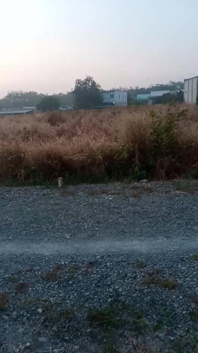 Đất nền Phường Tân Hiệp, Tân Uyên, Bình Dương 374m² giá 3 tỷ - Cần tiền bán gấp!