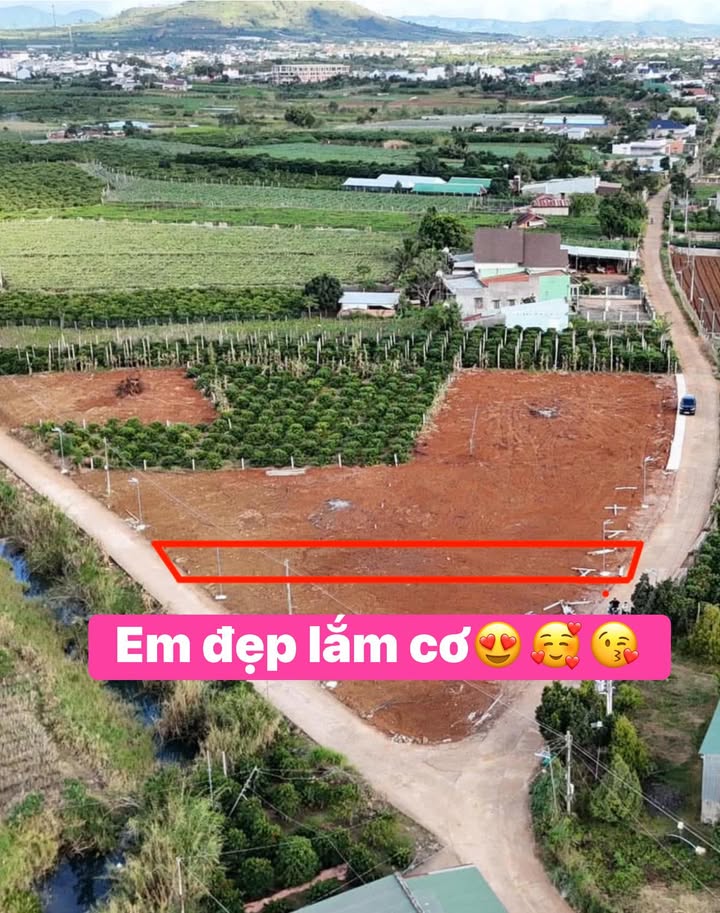 Đất nền 210m² tại xã Tân Hội, Đức Trọng - Giá chỉ 950 triệu - Nhanh tay sở hữu!