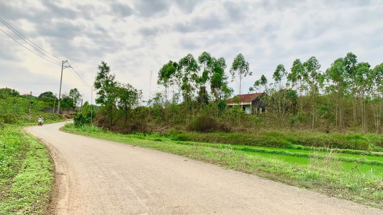 Đất nền 4000m² tại Xuân Lương, Bắc Ninh - Đầu tư sinh lời ngay!