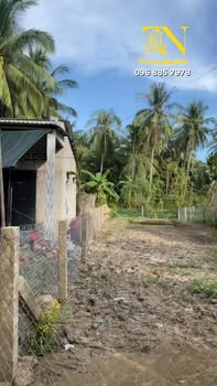 Đất thổ cư 244m² tại Hòa Định, Chợ Gạo - Giá chỉ 350 triệu, sổ đỏ chính chủ!