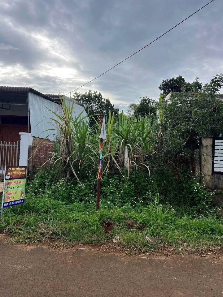 Nhà mặt tiền đường Hải Thượng Lãn Ông, Buôn Hồ 120m² giá 1.65 tỷ - Sổ đỏ chính chủ!