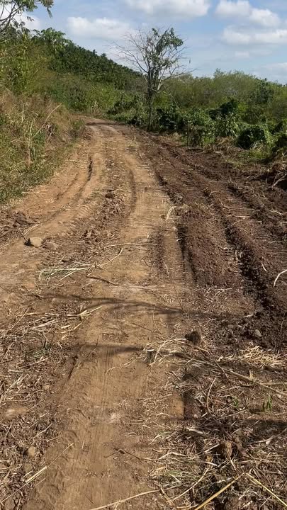 Đất nền 2ha đường Mai Hắc Đế, phường Ea Blang chỉ 3 tỷ - Cơ hội đầu tư hấp dẫn!