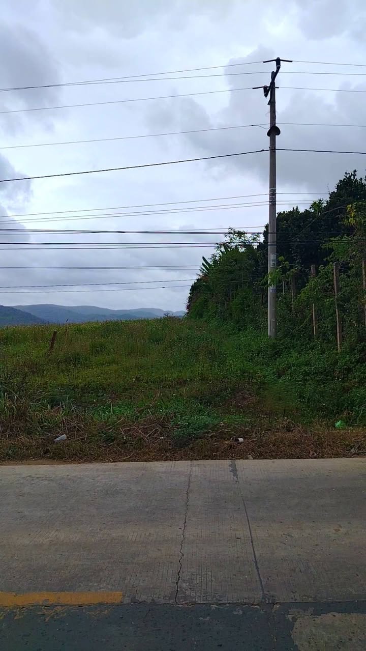 Lô đất mặt tiền Tỉnh lộ 619, Buôn Hồ 706m² giá 900 triệu - Đầu tư sinh lời ngay!