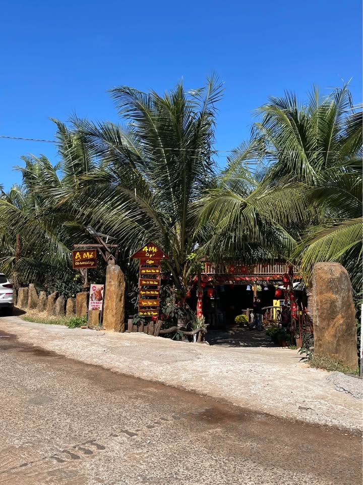 Đất nền Cư Suê 126m² giá 450 triệu - Vị trí đắc địa, pháp lý rõ ràng!