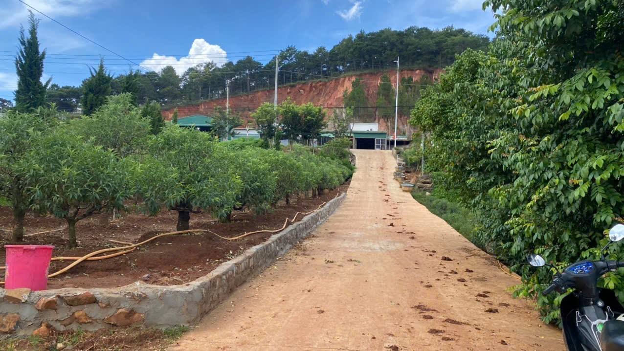 Đất nghỉ dưỡng Hiệp Thạnh, Đức Trọng, Lâm Đồng 487m² giá 2.5 tỷ - Sổ hồng chính chủ