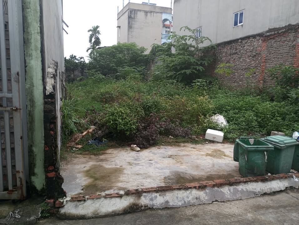 Đất thổ cư Kiêu Kỵ Gia Lâm 72m² giá 3 tỷ - Ô tô đỗ cửa, đầu tư sinh lời!