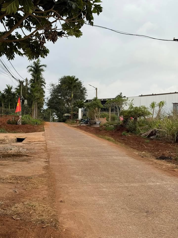 FrontHouse mặt tiền Mạc Đĩnh Chi, Buôn Hồ 270m² giá 1.3 tỷ - Cơ hội đầu tư hấp dẫn!