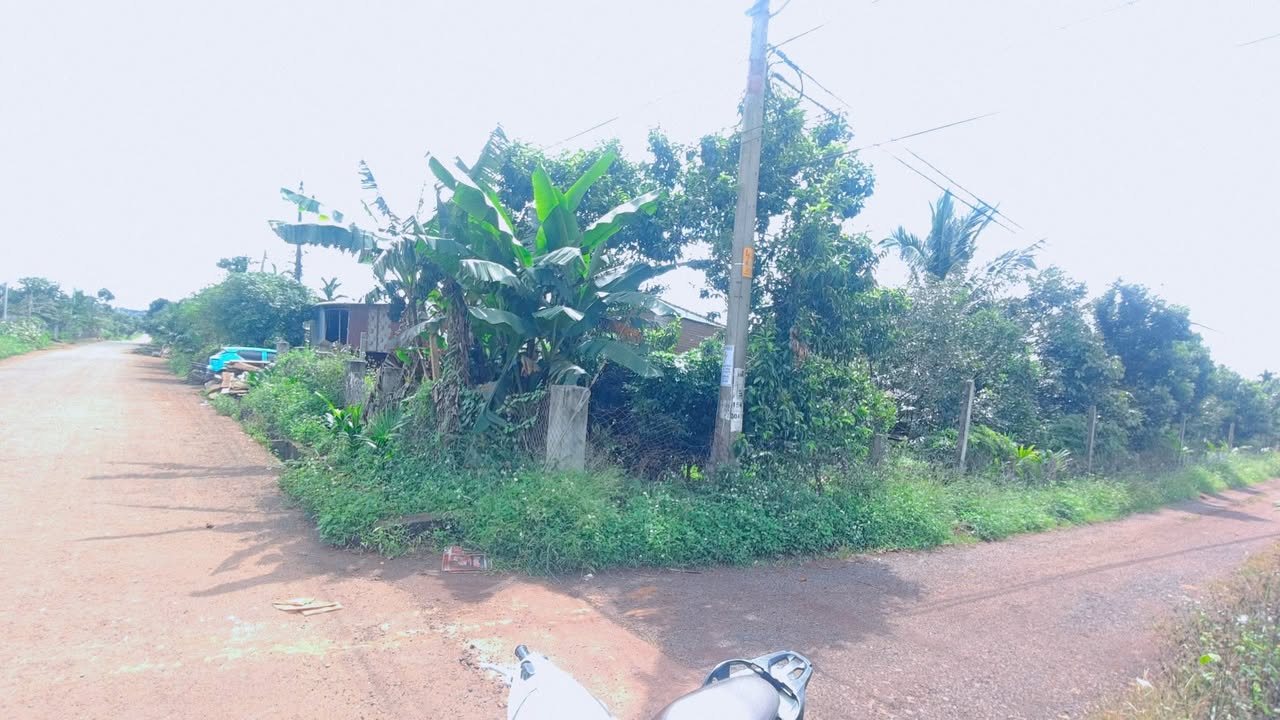 Đất nền hẻm Hoàng Quốc Việt, Buôn Hồ 140m² giá 800 triệu - Sổ hồng chính chủ