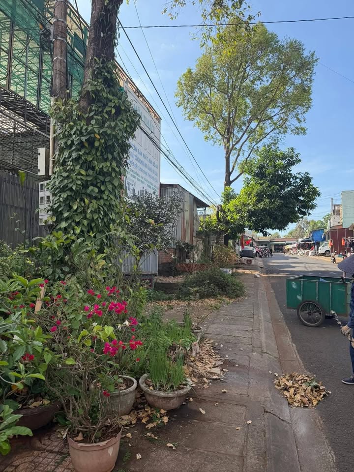 Đất thổ cư 100m² tại đường Nguyễn Du, Chư Prông - Kinh doanh sầm uất, giá thương lượng!