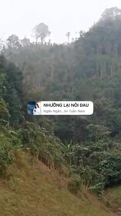 Lô đất Farm 20.000m² tại Xã Kim Lư, Huyện Na Rì, giá chỉ 200 triệu - Cần bán gấp!