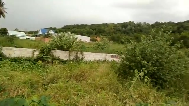 Đất mặt tiền Lạc Long Quân, Tiến Thành 2000m² - Cơ hội đầu tư tuyệt vời!