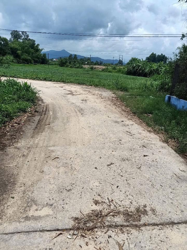 Đất nền Phú Hưng, Bình Tân 400m² giá chỉ 59 triệu - Cơ hội đầu tư tuyệt vời!