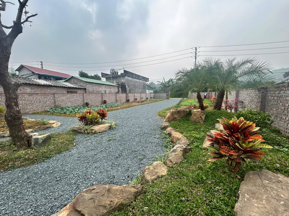 Đất nền mặt đường lớn quận Hoàng Mai 280m² giá chỉ 1 tỷ - Cơ hội đầu tư tuyệt vời!