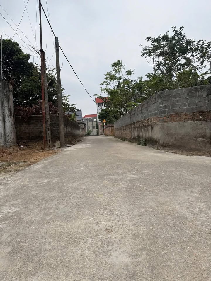 Đất nền 202m² tại Phường Tân An, Bắc Giang - Vị trí đắc địa, giá thỏa thuận!