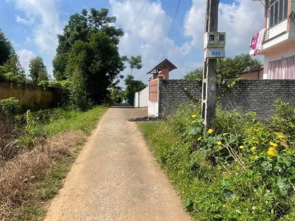 Đất nền Tiên Nha, Lục Nam, 227m² giá 1 tỷ - Đầu tư sinh lời lý tưởng!