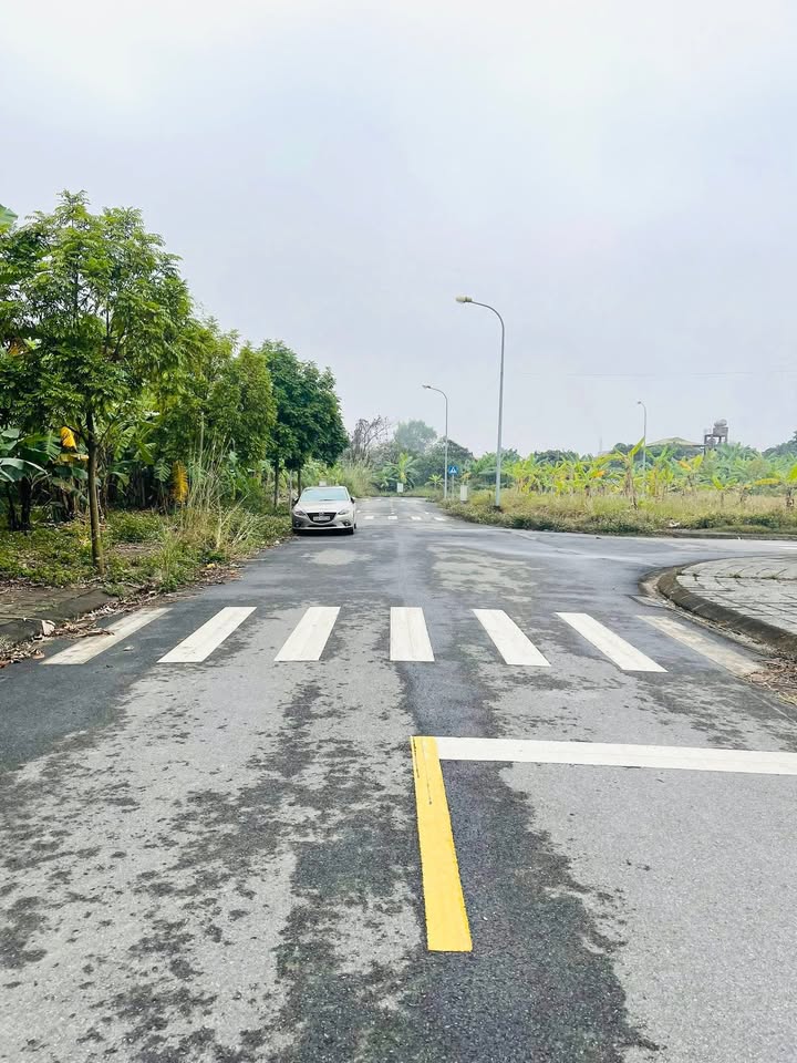 Đất nền KĐT Bến Gót Việt Trì 150m² giá 4.3 tỷ - Đầu tư sinh lời cao!