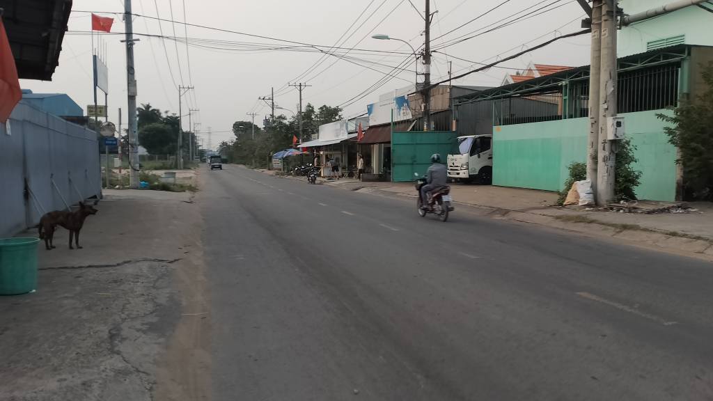 Đất vườn 2.000m² tại Bình Chánh giá 4.5 tỷ - Cơ hội đầu tư tuyệt vời!