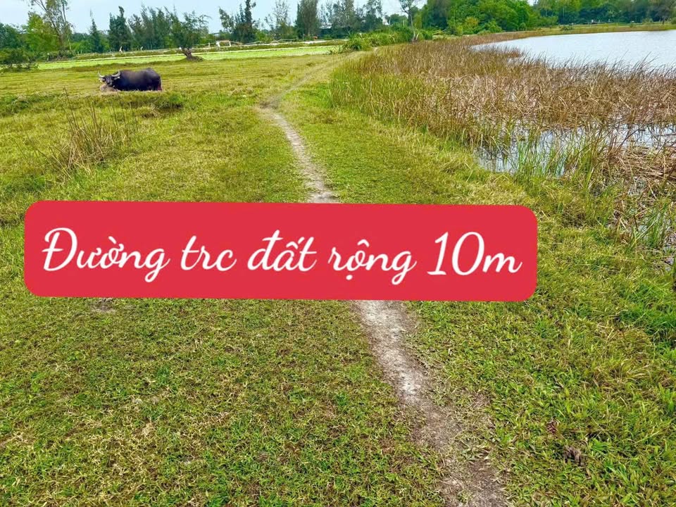 Đất Farm 800m² tại Đà Nẵng giá chỉ 120 triệu - View sông tuyệt đẹp!