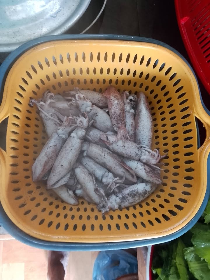 Đất nền biển Bình Minh 600m² giá thỏa thuận - Cơ hội đầu tư hấp dẫn!