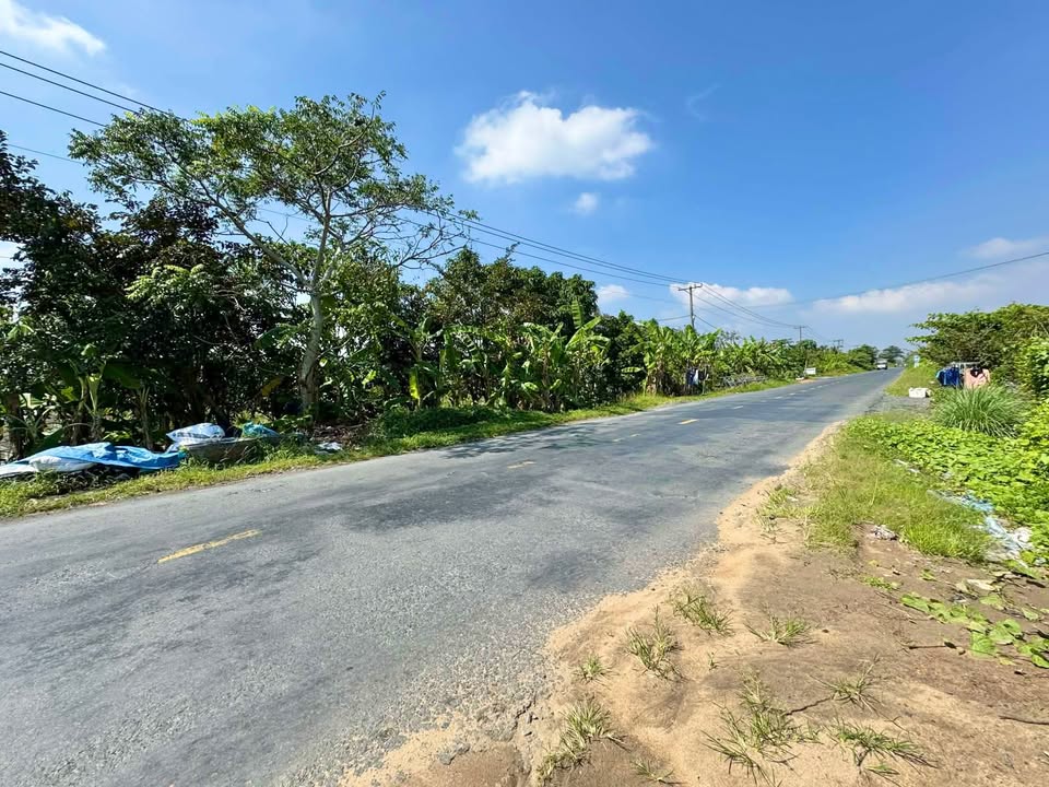 Đất vườn mặt tiền Quốc Lộ Nam Sông Hậu, 13.561,3m² giá 19,5 tỷ - Đầu tư sinh lời cao!