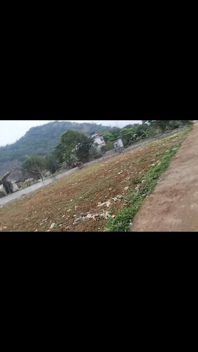 Đất nền 114m² tại tổ dân phố 6, Hoa Lư giá 1.5 tỷ - Cơ hội đầu tư hấp dẫn!