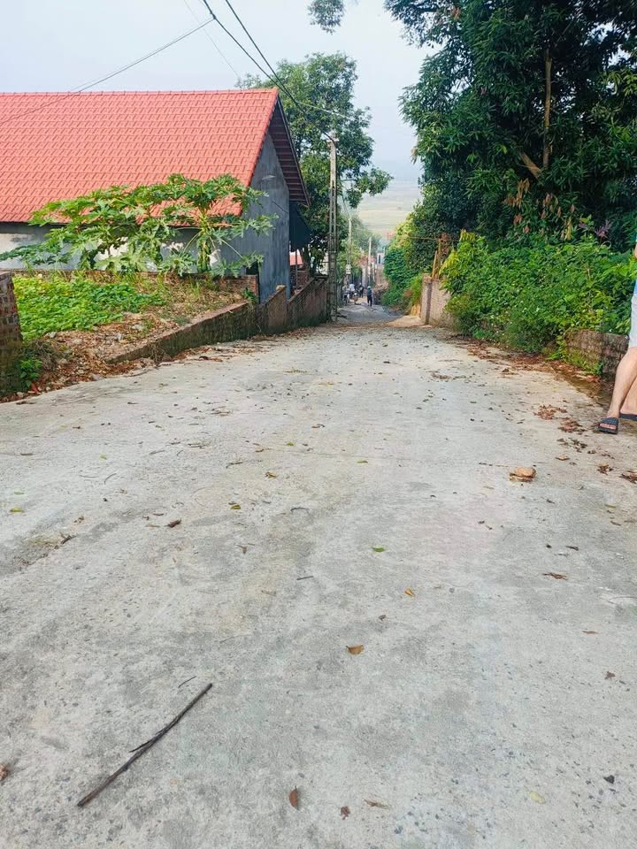 Đất nền Ba Vì - Hà Nội 181m² giá 900 triệu - Đường ô tô vào tận nơi!