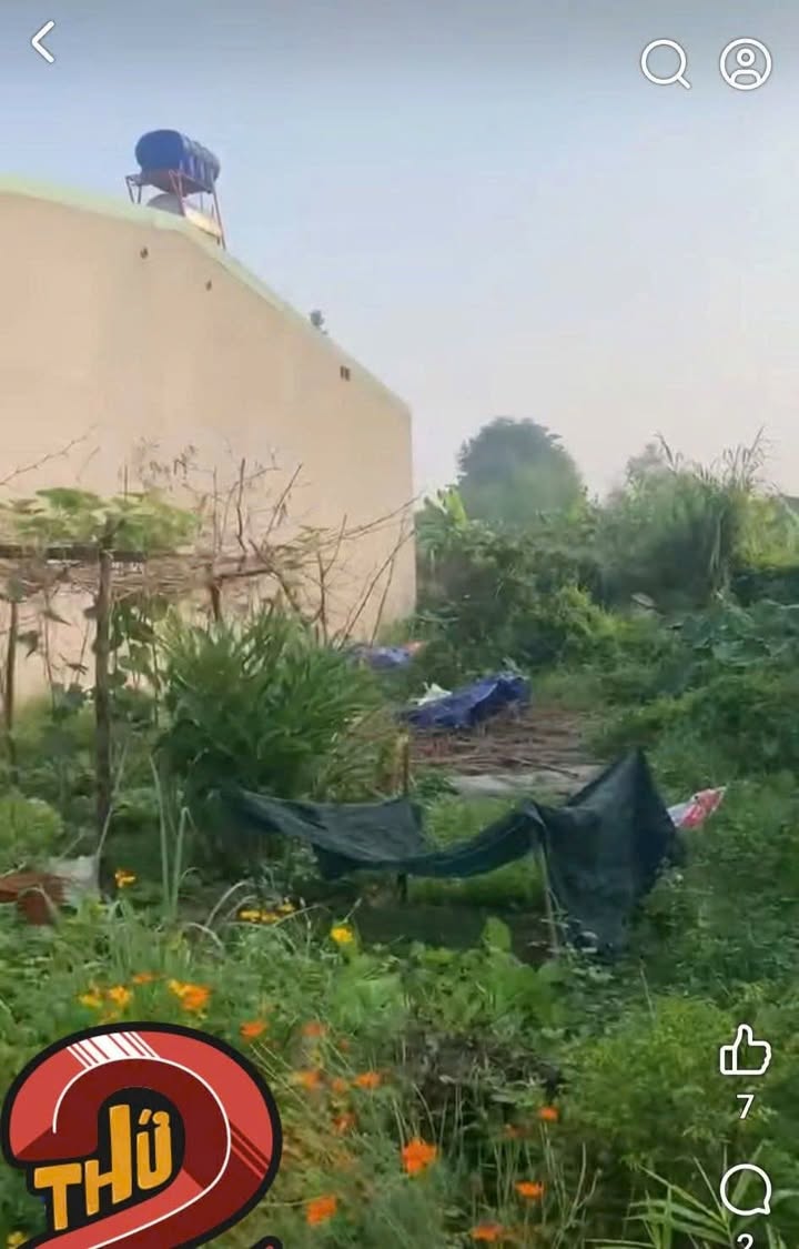 Đất nền Ấp Phú Sơn, Tân Phú, Đồng Nai 100m² - Sổ hồng chính chủ, giá tốt!