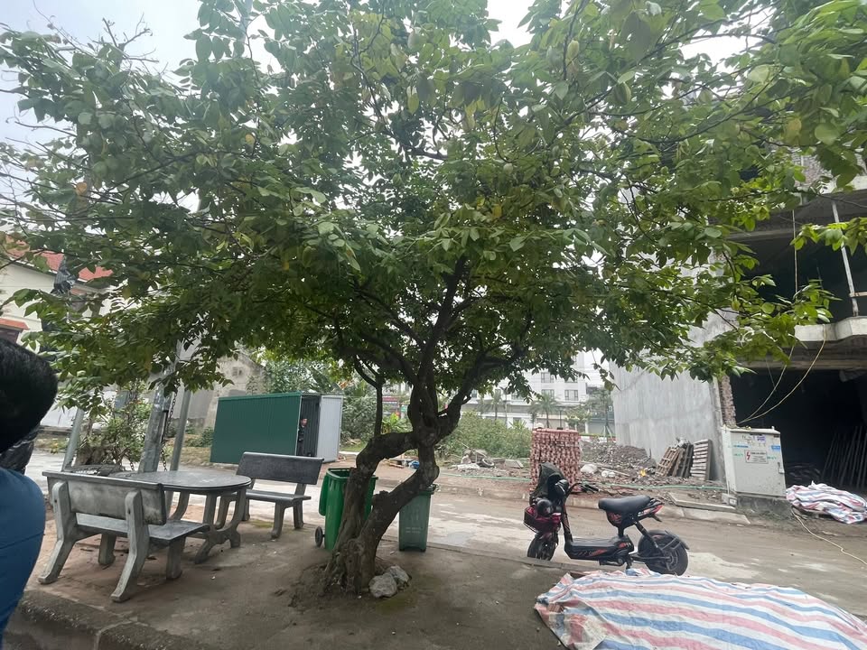 Đất nền KDT CEO1 Phủ Lý 80m² giá 4 tỷ - Xây dựng tự do