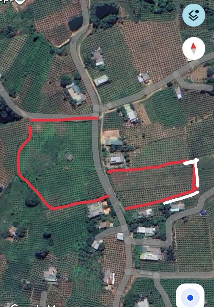 Đất nền 14000m² tại xã Tân Thuận, huyện Hàm Thuận Nam - Giá chỉ 3.5 tỷ