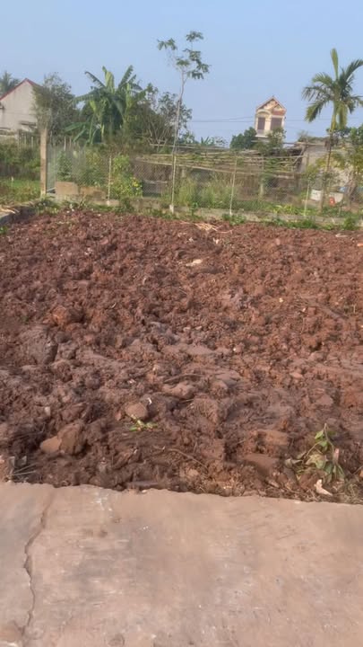 Đất nền Xóm 6 - Nghĩa Tân 164m² giá 10.705 tỷ - Vị trí đắc địa, giao thông thuận lợi!