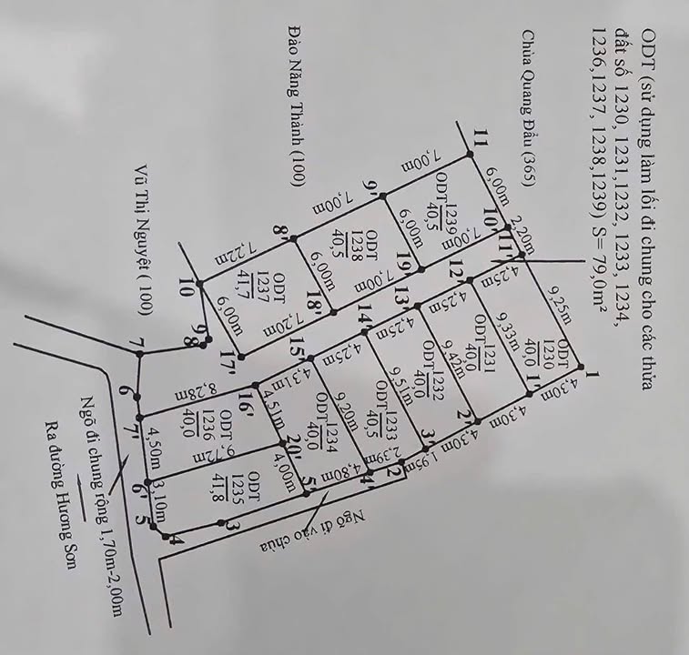 Đất nền phân lô Phường Đồng Hòa, Quận Kiến An 40m² giá từ 1 tỷ - Cơ hội đầu tư hấp dẫn!