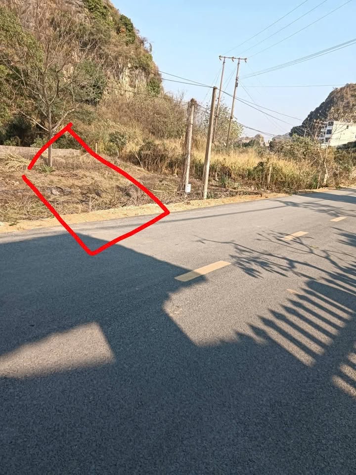 Đất thổ cư 105m² tại Phường Trung Sơn, Tam Điệp - Giá chỉ 1 tỷ, đầu tư sinh lời nhanh!