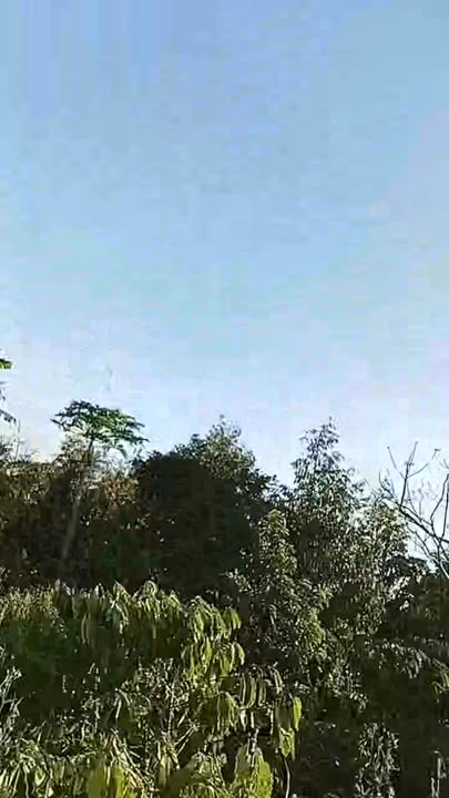 Đất rẫy 1440m² tại Phường Bình Tân, Buôn Hồ - Giá thương lượng hấp dẫn!