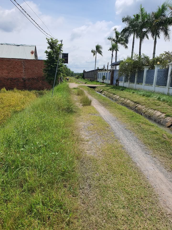 Đất vườn cho thuê Củ Chi 1500m² giá siêu rẻ - Đầu tư sinh lời ngay!