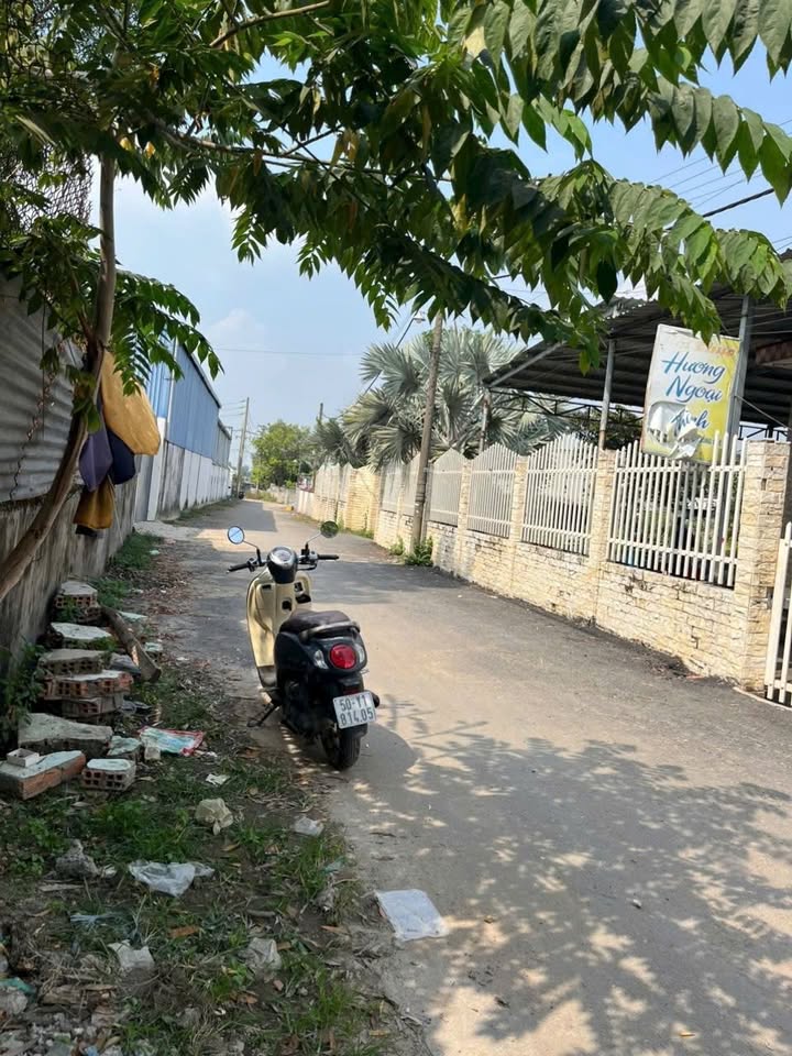 Đất nền Hóc Môn 115m² giá 3.1 tỷ - Mặt tiền đường D1, thuận lợi kinh doanh!