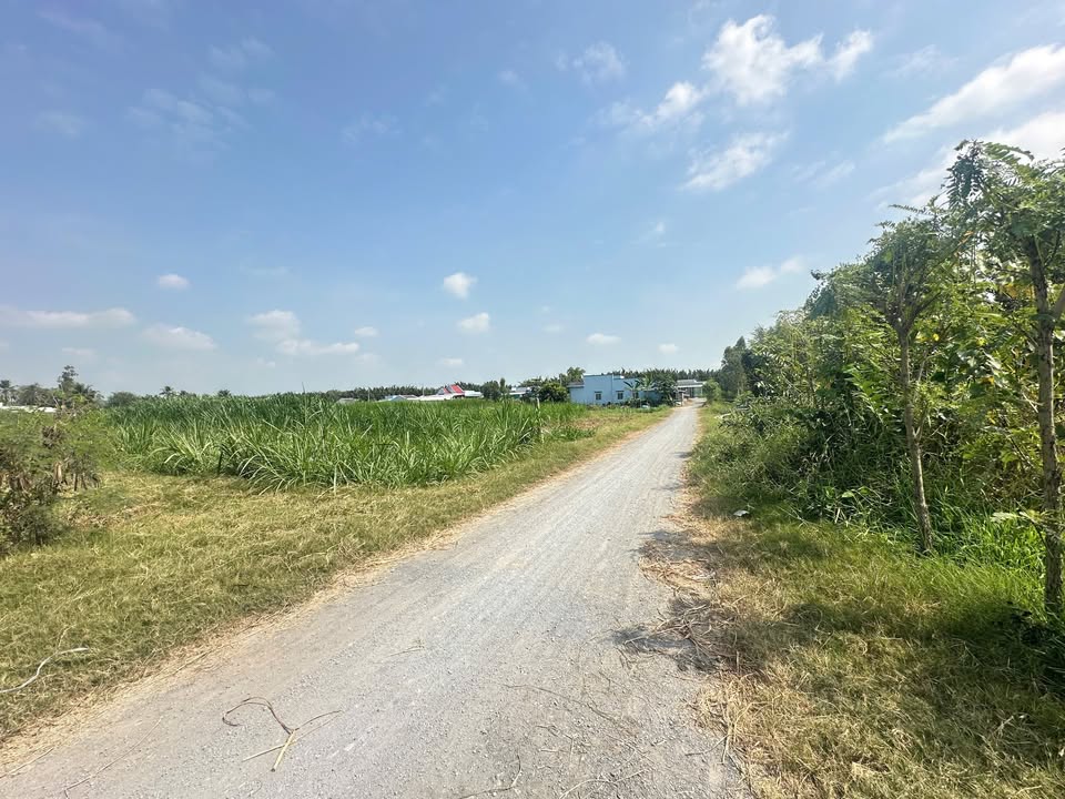 Đất vườn 1800m² tại Xã Long Bình, Gò Công Tây - Cơ hội đầu tư giá tốt!