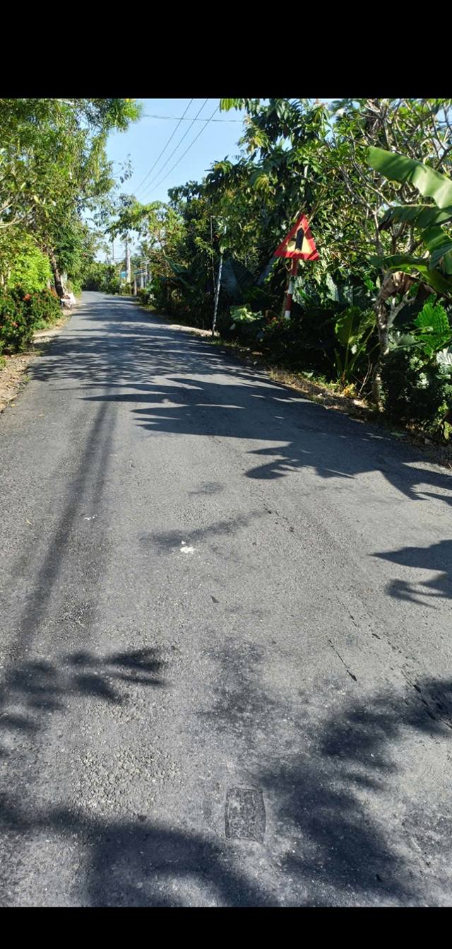 Đất mặt tiền đường Lô Làng, Bình Đức, 115m² giá 1.1 tỷ - Cơ hội đầu tư hấp dẫn!