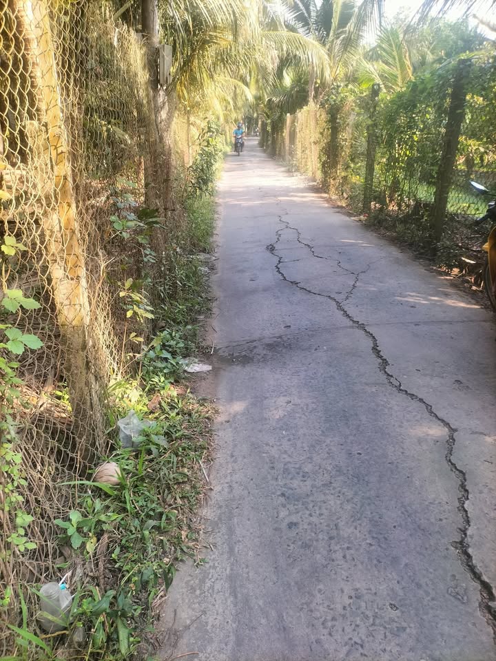 Đất nền xã Đông Hòa, huyện Châu Thành 1100m² giá 1,35 tỷ - Mặt tiền đường rộng rãi!