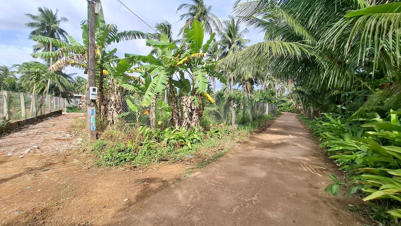 Đất thổ cư tại kp Hòa Trung 1, Hoài Xuân 218m² giá 8xx triệu - Đường Trần Tôn Thất thông thoáng!