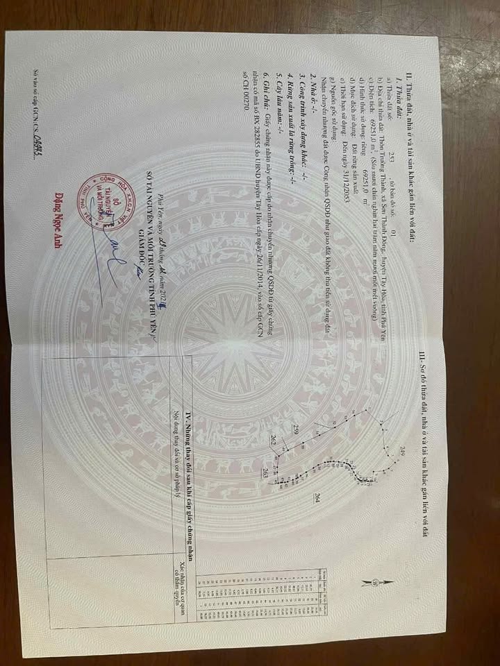 Đất Farm 7 hecta tại Sơn Thành Đông, Phú Yên - Vị trí đẹp, giao thông thuận tiện!