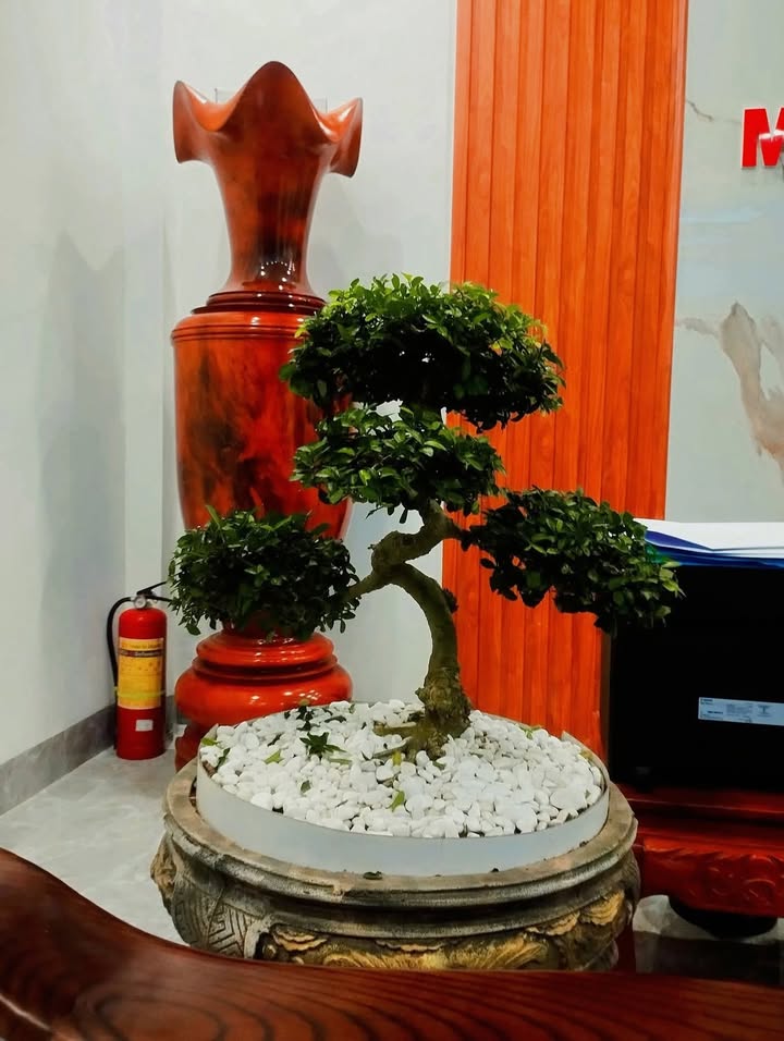 Lô đất thổ cư mặt đường Nhánh Kim, xã Kim Đông, 420m² giá 1.4 tỷ - Cơ hội đầu tư tuyệt vời!